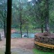Greenery