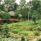 Cottages amidst greenery