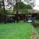 Green lawn
