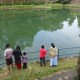 Guests by the lake 2
