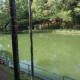 Lake 2