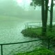 Lake amidst mist 1