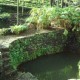 Part of garden