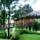 Bamboo Tree House Bamboo Tree House