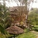 Bamboo Tree House in a serene locale Bamboo Tree House in a serene locale