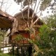 Bamboo Tree House set amidst Nature Bamboo Tree House set amidst Nature