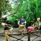Guests relaxing in sit-out at the Bamboo Tree House Guests relaxing in sit-out at the Bamboo Tree House