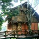 Front View of Bamboo Tree House Front View of Bamboo Tree House