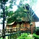 Main View of Bamboo Tree House Main View of Bamboo Tree House