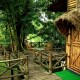 Sit out at Bamboo Tree House Sit out at Bamboo Tree House