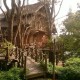 Way to Bamboo Tree House Way to Bamboo Tree House