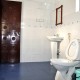 Clean Toilet Clean Toilet