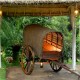 A Bullock Cart