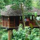 Tree House