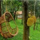 A Swing in the Garden
