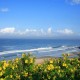 Captivating Beach Captivating Beach