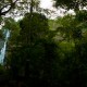 Falls Falls