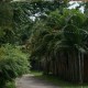Eco friendly resort Eco friendly resort
