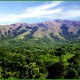 Scenic Beauty Scenic Beauty