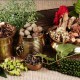 Natural Herbs Natural Herbs