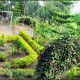 Children's Park