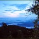 Tree House Sunrise View