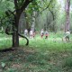 Nature Walk