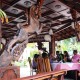 At Restaurant At Restaurant