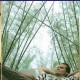 Hammock Hammock