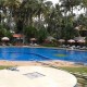 Palm grooves by the pool Palm grooves by the pool