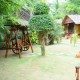 Wooden artefacts amidst greenery Wooden artefacts amidst greenery