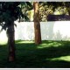 Garden Garden