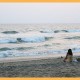 Tranquil sandy beach Tranquil sandy beach
