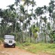 Jeep Safari Jeep Safari