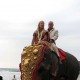 Elephant Ride Elephant Ride