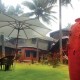 Lawn Lawn