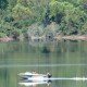 Boating