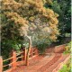 The path to the villas