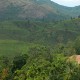 Plantation View