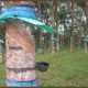 Rubber Tapping