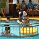 KIds pool