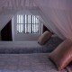 Bahia beds Bahia beds