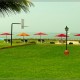 Lawn Lawn