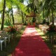 Red Carpet