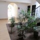 Plantation