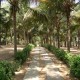 Pathway