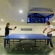 Table Tennis Table Tennis