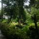 Path to orchard