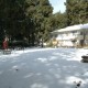 Carlton Plaisance