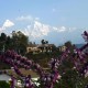 Beautiful Landscape